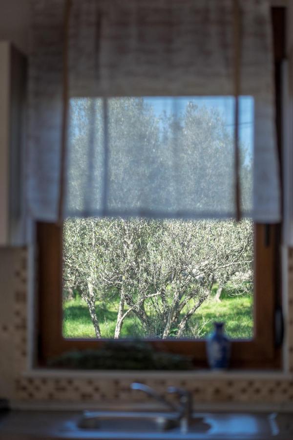 Villa Dijana West Linardići Exteriér fotografie